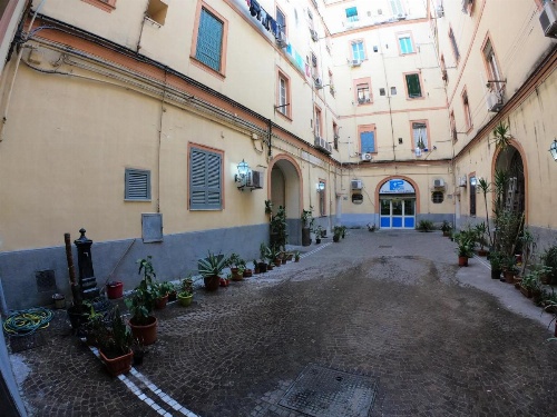 Nautilus Apartment image 39